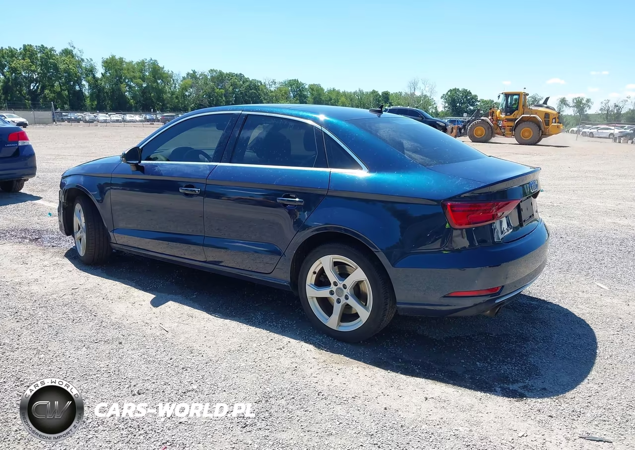 2019 Audi A3 45 Premium VIN:WAUBEGFF8KA120248 - 3