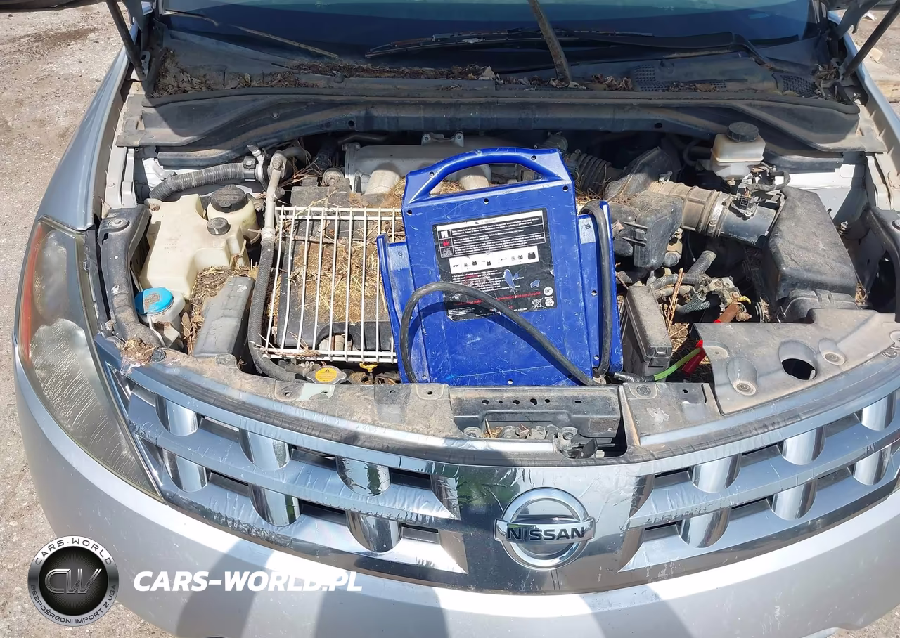 2005 Nissan Murano Sl VIN:JN8AZ08W15W423696 - 10