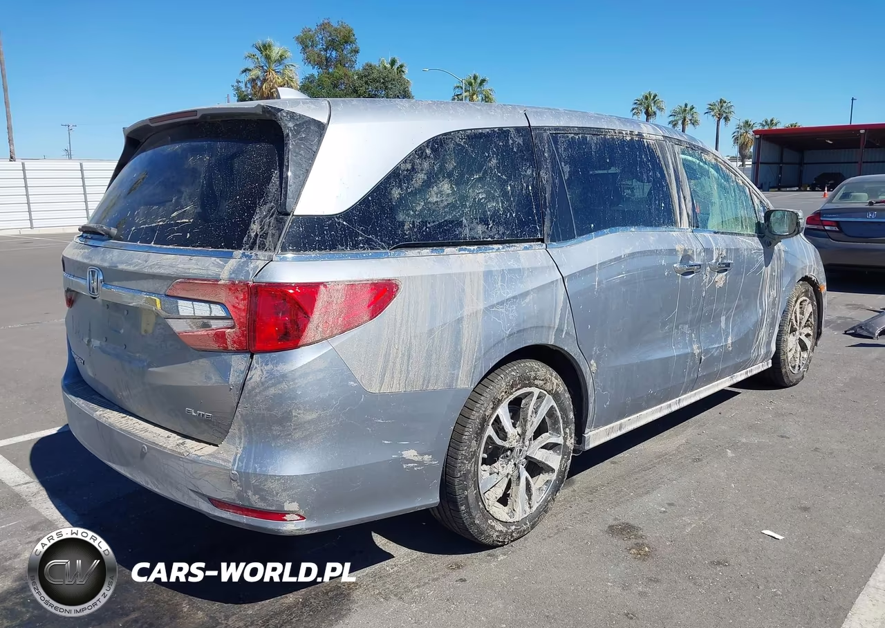 2019 Honda Odyssey Elite VIN:5FNRL6H91KB107552 - 4