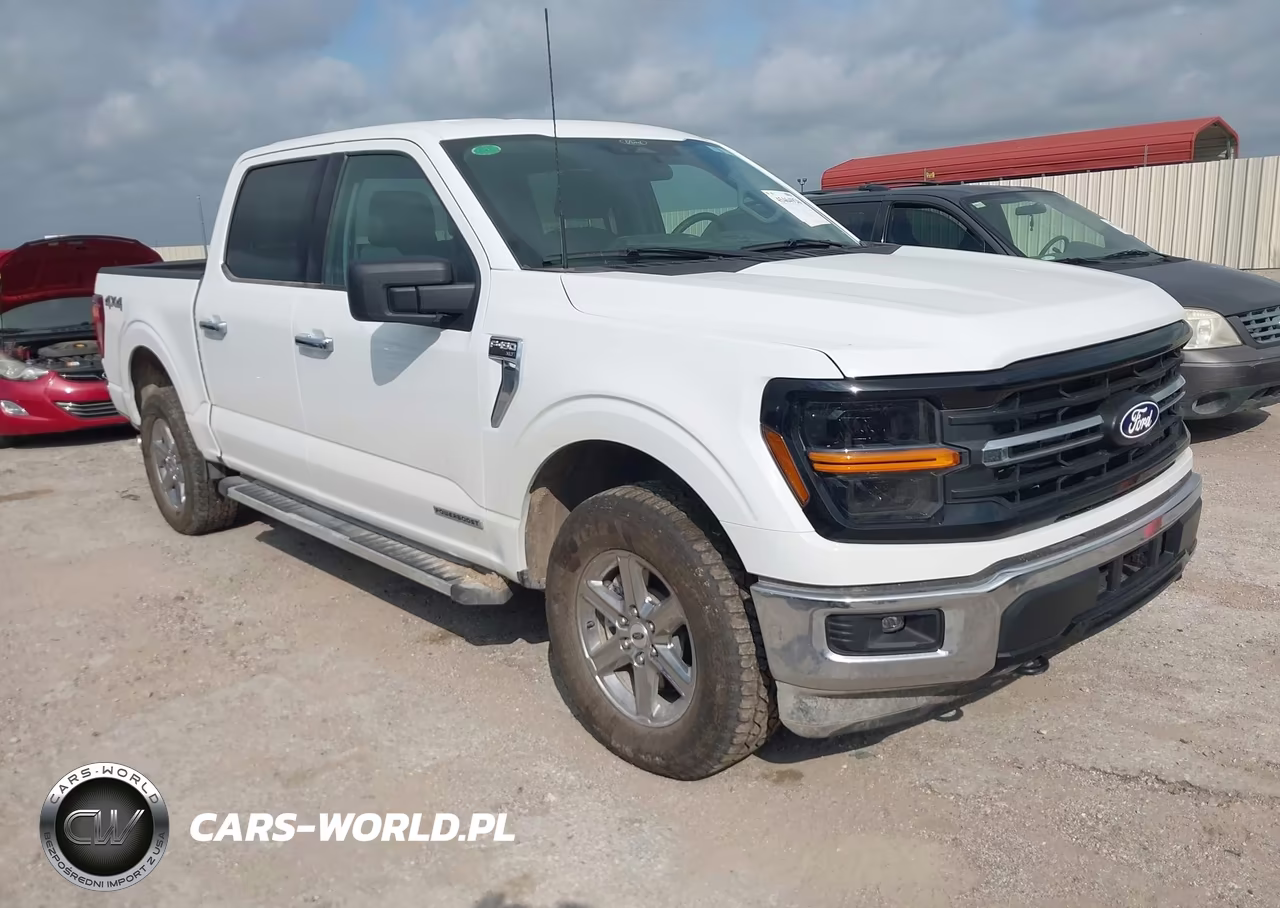 2025 Ford F-150 Xlt – zdjęcie 1 z 17