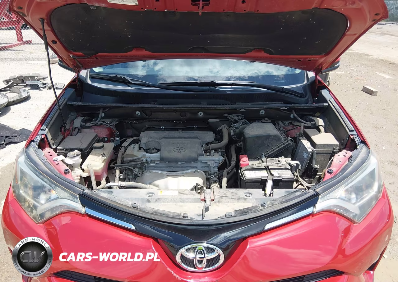 2016 Toyota Rav4 Xle VIN:2T3WFREV5GW252463 - 10