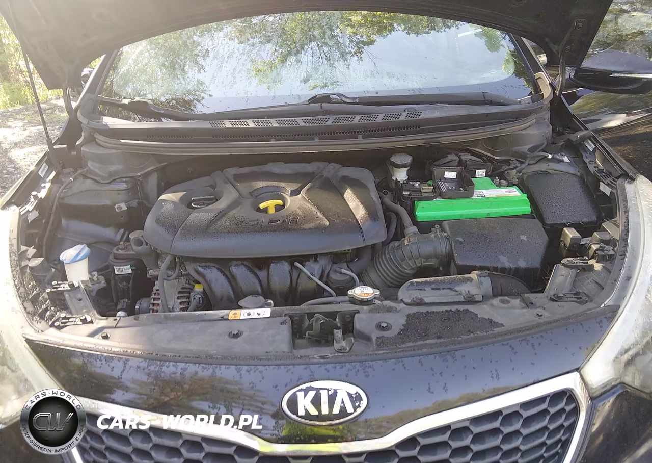2015 Kia Forte Ex VIN:KNAFZ4A80F5336171 - 10