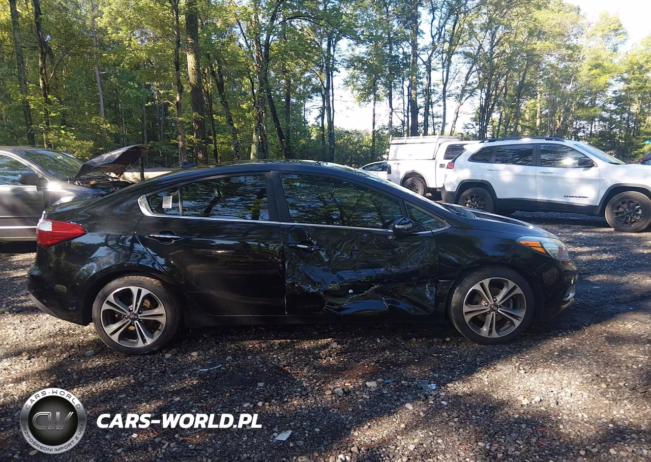 2015 Kia Forte Ex VIN:KNAFZ4A80F5336171 - 13