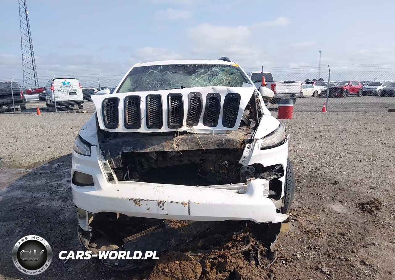 2016 Jeep Cherokee Altitude VIN:1C4PJMCB4GW112131 - 12