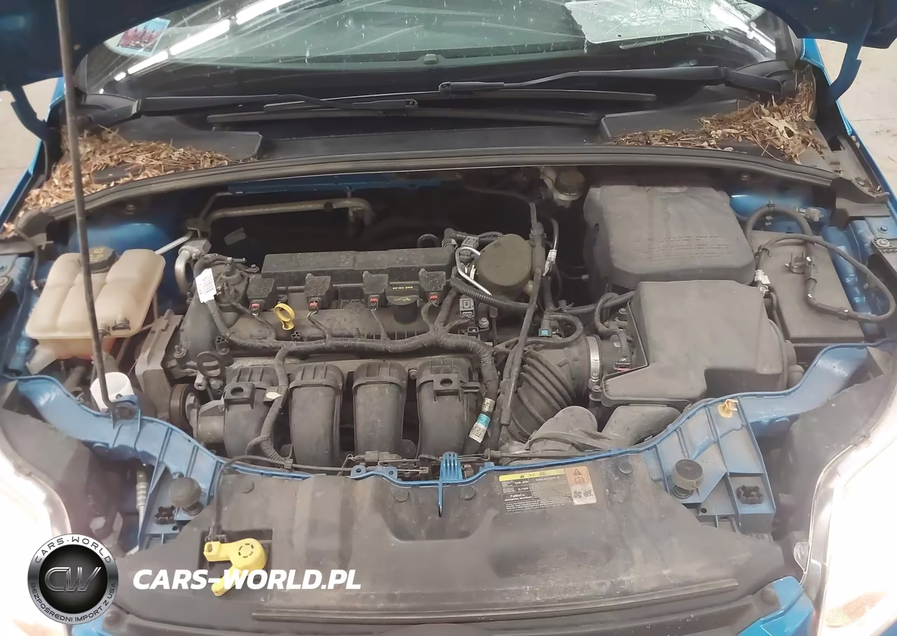 2014 Ford Focus Se VIN:1FADP3F23EL209610 - 10