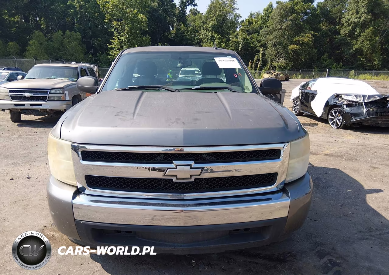 2008 Chevrolet Silverado 1500 Work Truck VIN:1GCEC14C28Z158242 - 12