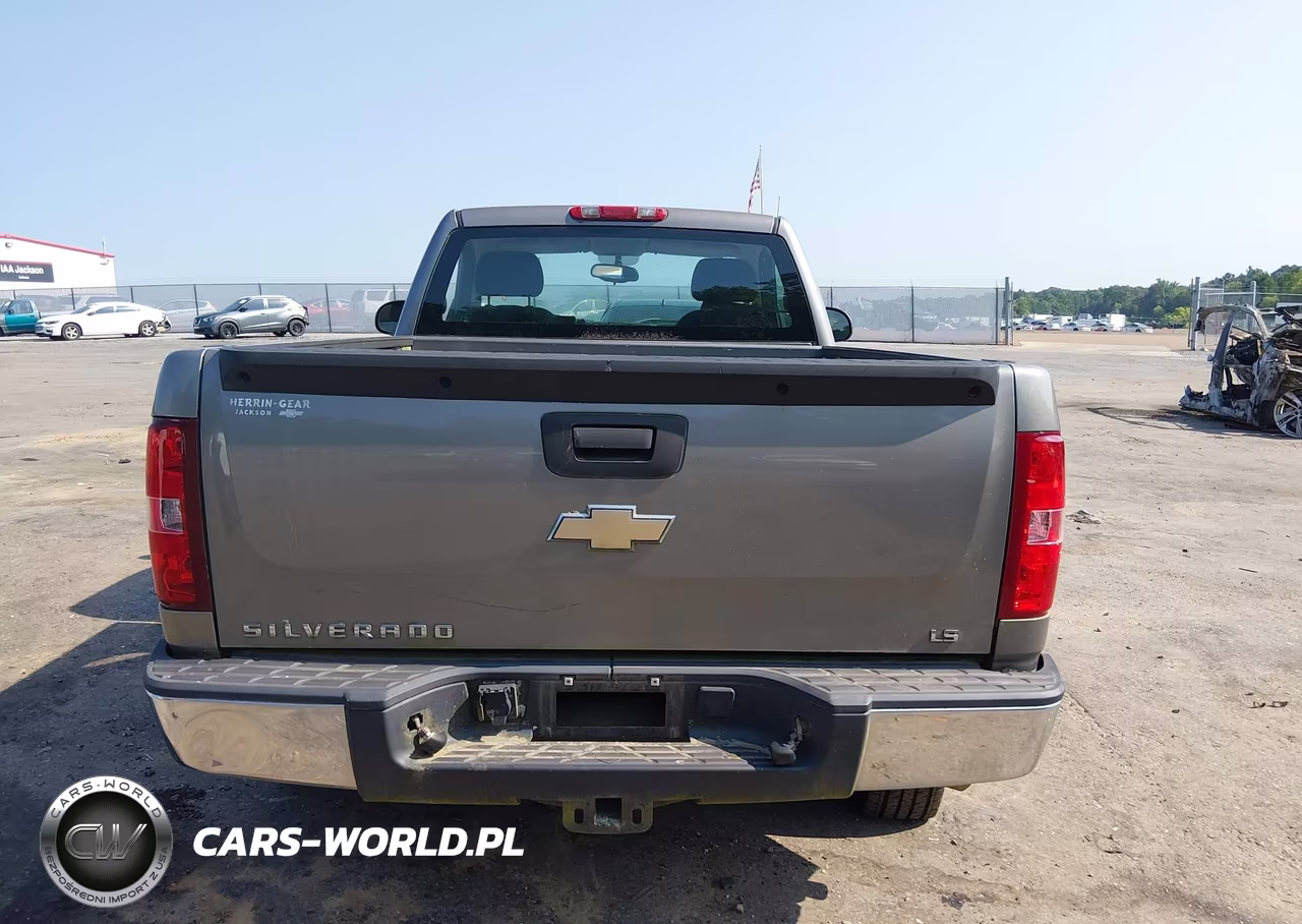 2008 Chevrolet Silverado 1500 Work Truck VIN:1GCEC14C28Z158242 - 16