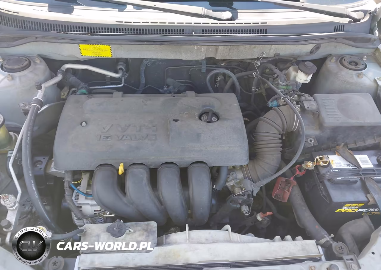 2004 Toyota Corolla S VIN:1NXBR32E04Z240409 - 10
