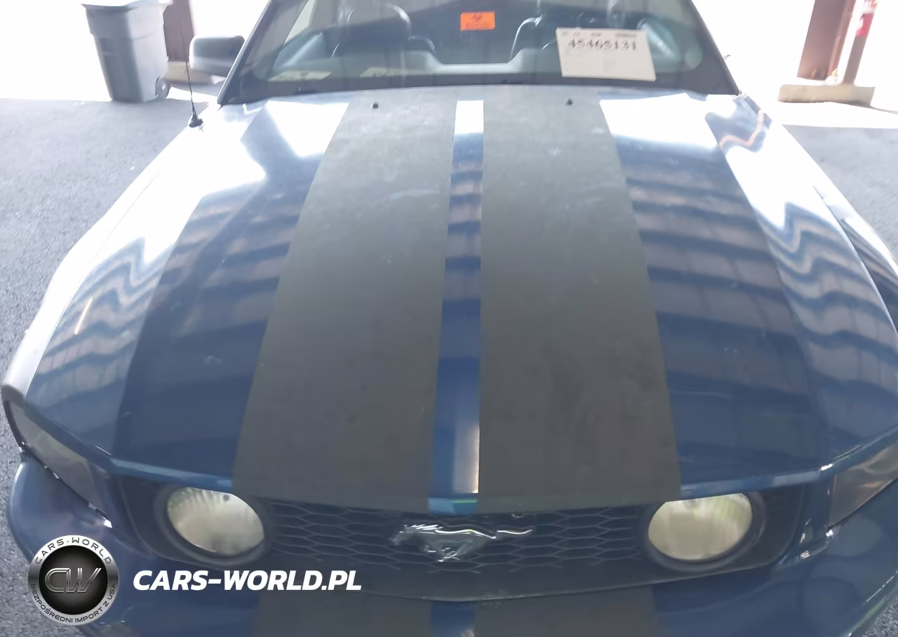 2006 Ford Mustang Gt VIN:1ZVHT82H065112804 - 10