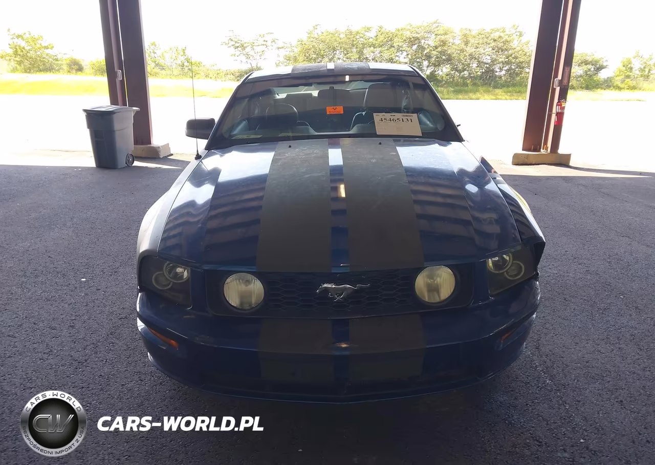 2006 Ford Mustang Gt VIN:1ZVHT82H065112804 - 11