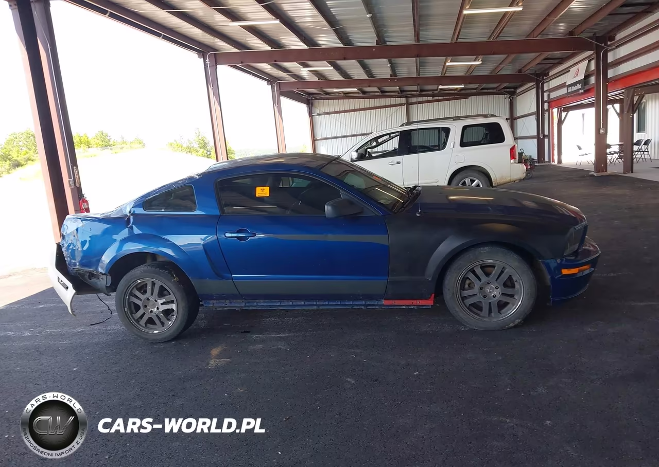 2006 Ford Mustang Gt VIN:1ZVHT82H065112804 - 12