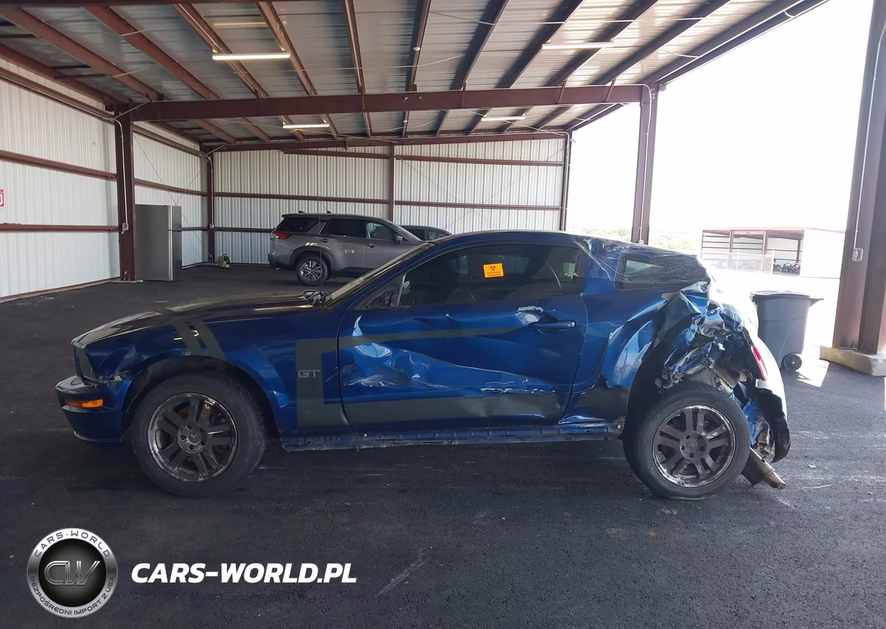 2006 Ford Mustang Gt VIN:1ZVHT82H065112804 - 13