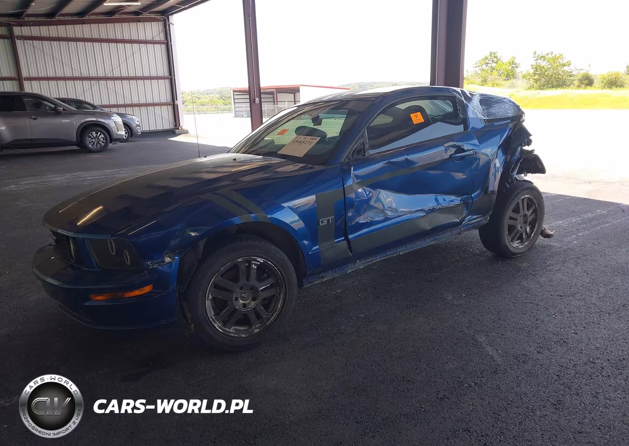 2006 Ford Mustang Gt VIN:1ZVHT82H065112804 - 2