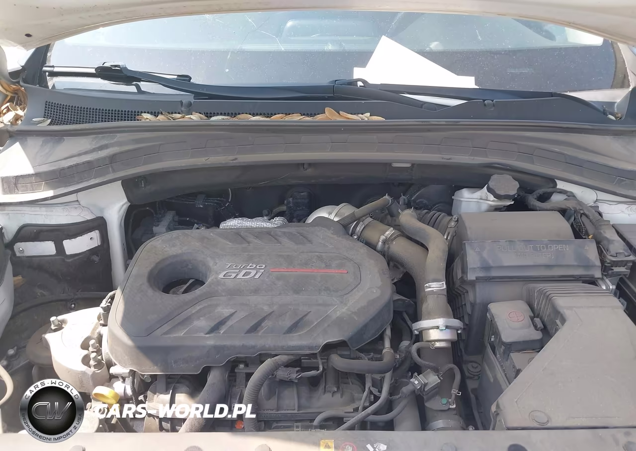 2020 Hyundai Santa Fe Sel 2.0T VIN:5NMS3CAA8LH147759 - 10