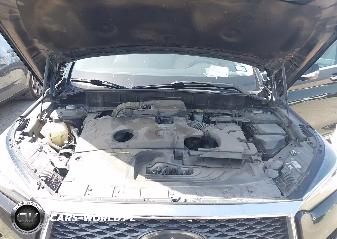 2019 Infiniti Qx50 Essential VIN:3PCAJ5M33KF114890 - 10
