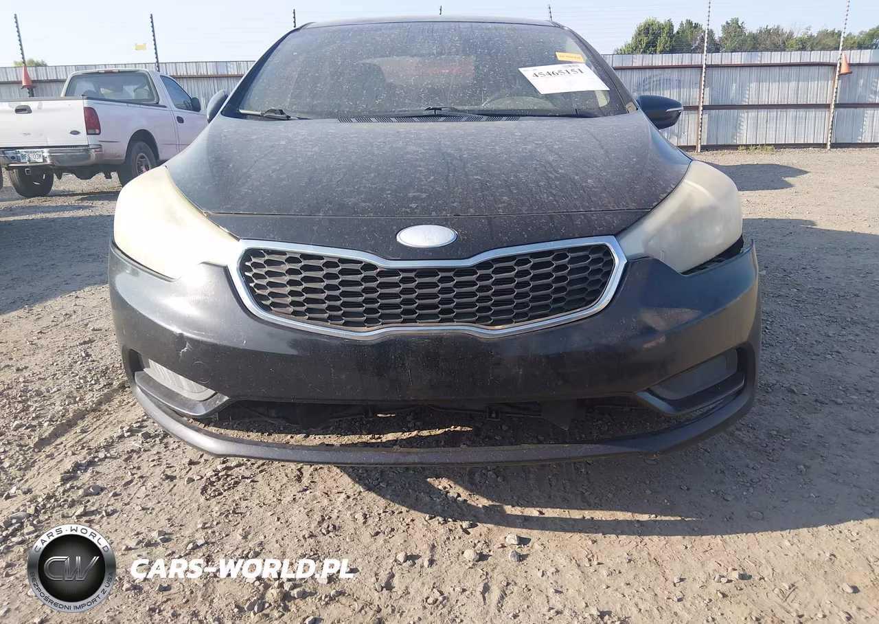 2014 Kia Forte Lx VIN:KNAFX4A69E5114375 - 12