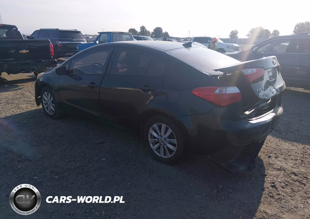 2014 Kia Forte Lx VIN:KNAFX4A69E5114375 - 3