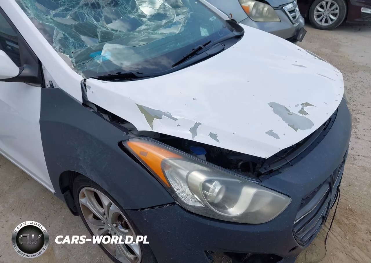 2013 Hyundai Elantra Gt VIN:KMHD35LE6DU044463 - 16