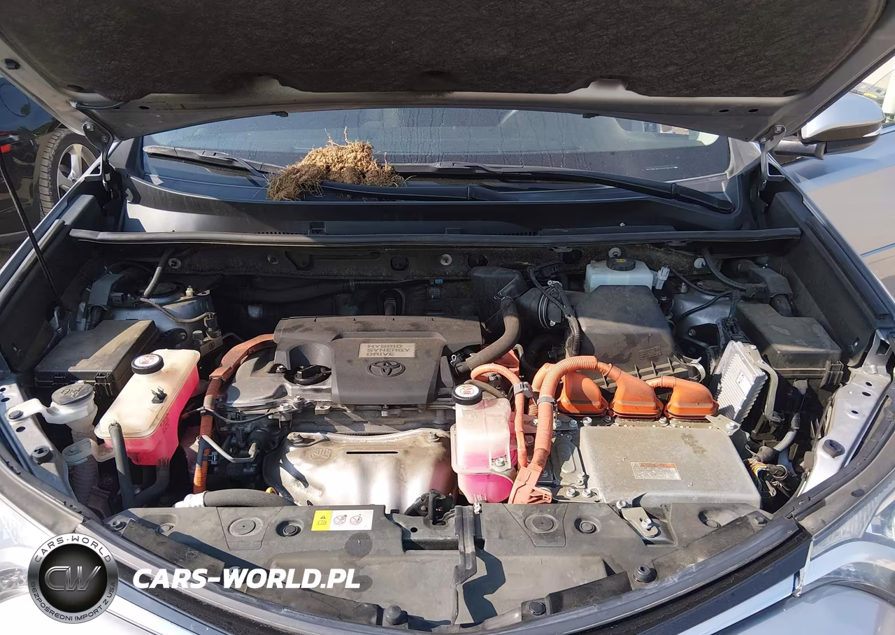 2018 Toyota Rav4 Hybrid Xle VIN:JTMRJREV4JD178470 - 10