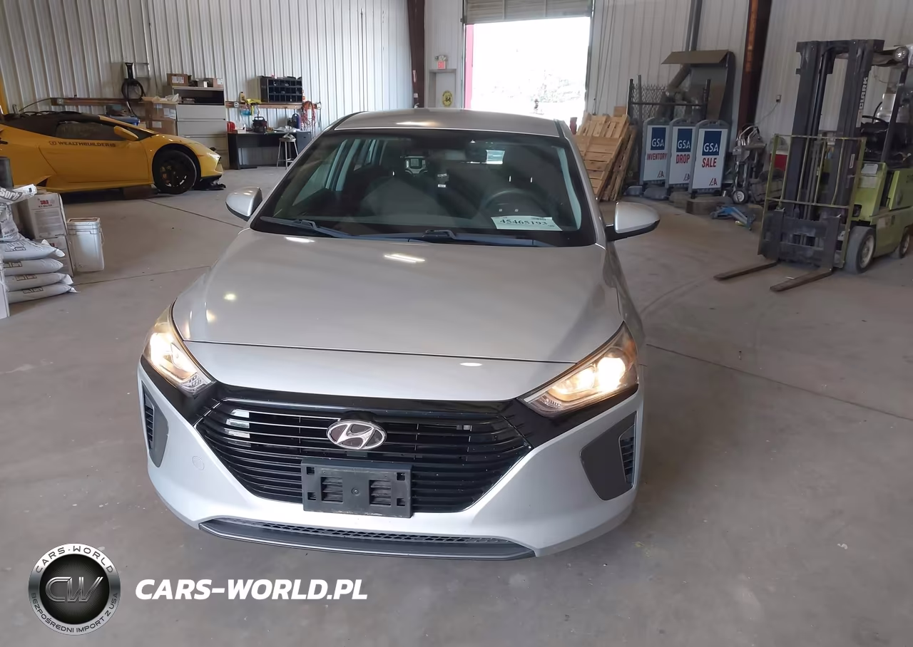 2019 Hyundai Ioniq Hybrid Blue VIN:KMHC65LC3KU108022 - 12