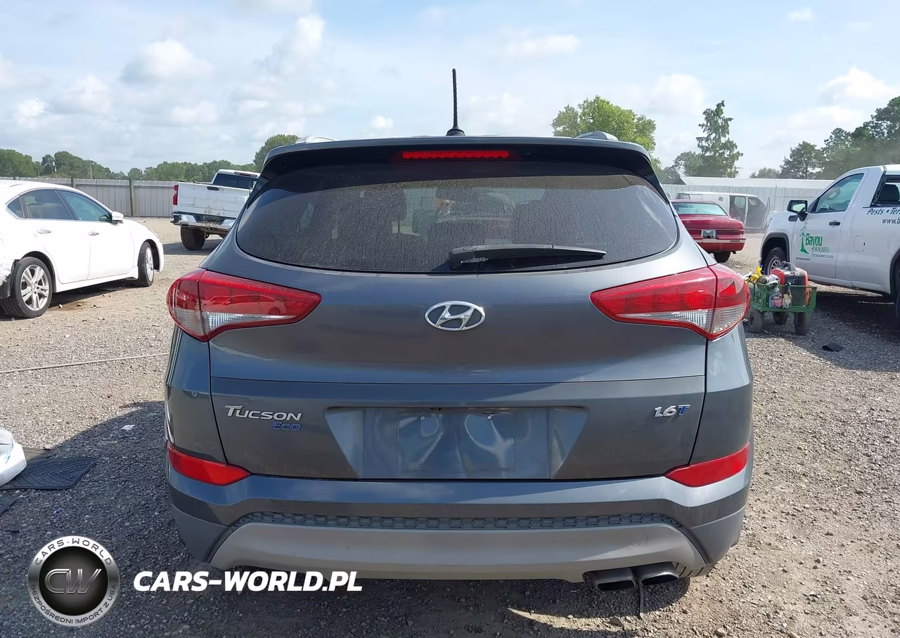 2017 Hyundai Tucson Eco VIN:KM8J33A21HU431184 - 16