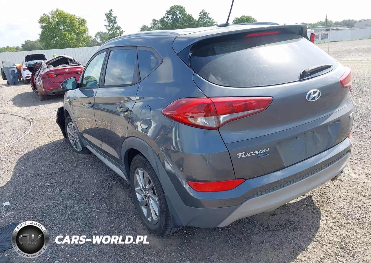 2017 Hyundai Tucson Eco VIN:KM8J33A21HU431184 - 3