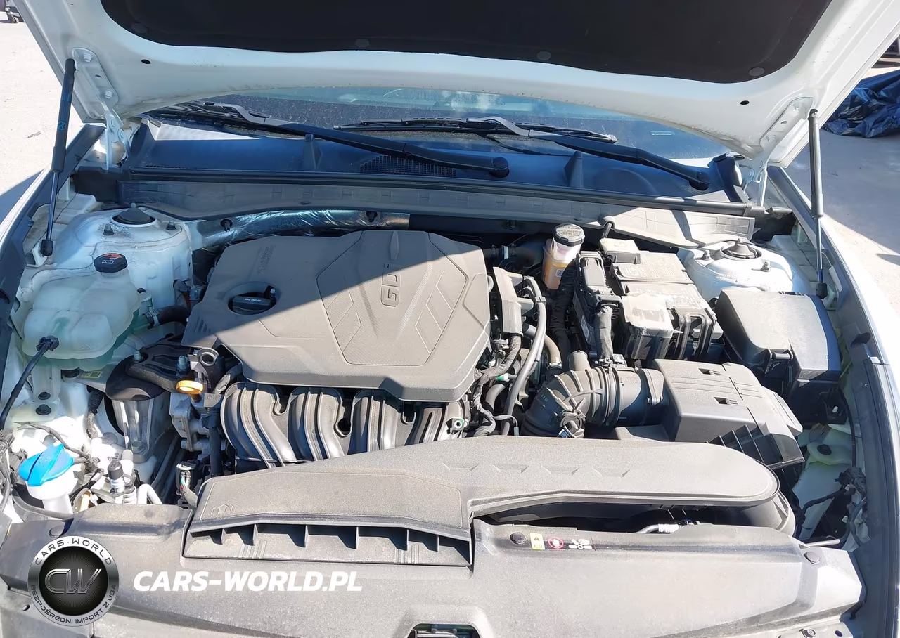 2021 Hyundai Sonata Sel VIN:5NPEL4JAXMH085210 - 10