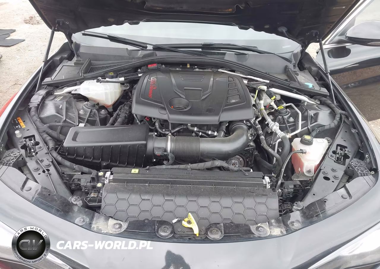 2017 Alfa Romeo Giulia Awd VIN:ZARFAEDN7H7551514 - 10