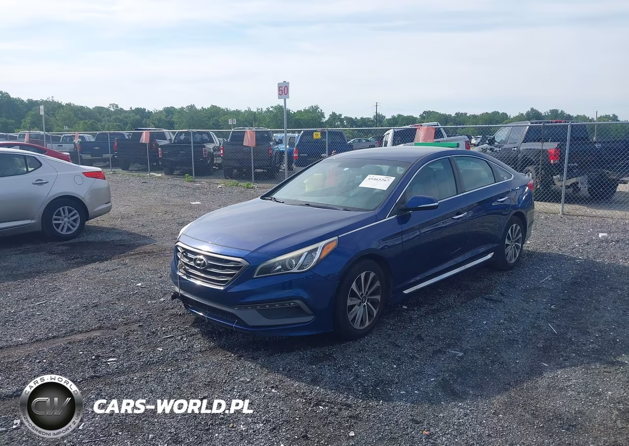 2016 Hyundai Sonata Sport VIN:5NPE34AF6GH433763 - 2