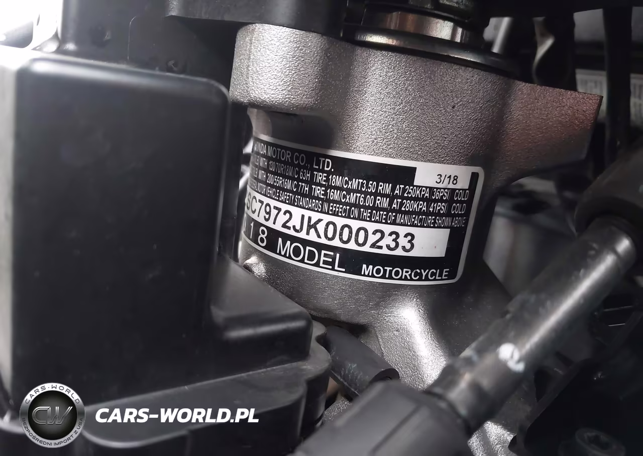 2018 Honda Gl1800 D VIN:JH2SC7972JK000233 - 10