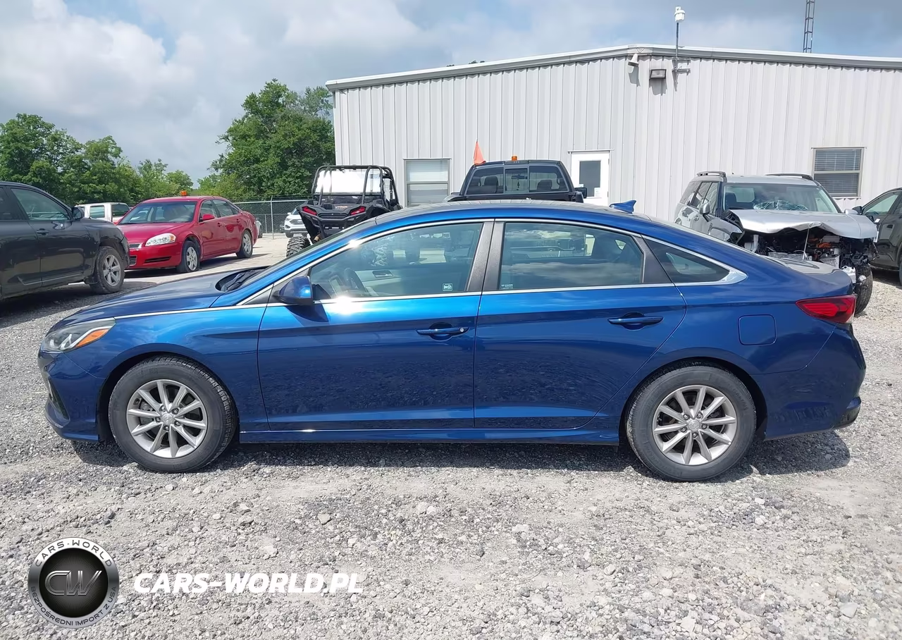 2018 Hyundai Sonata Eco VIN:5NPE24AA6JH698925 - 16