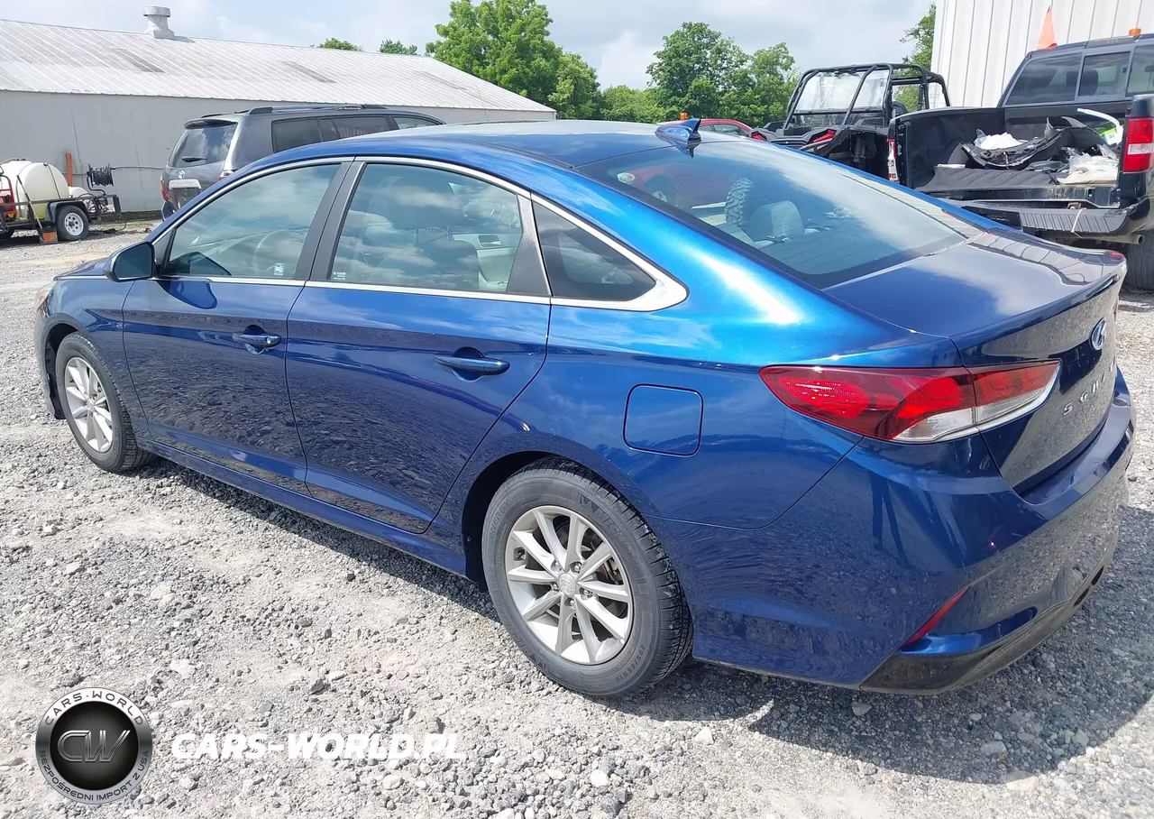 2018 Hyundai Sonata Eco VIN:5NPE24AA6JH698925 - 3