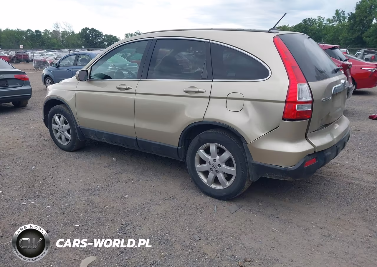 2009 Honda Cr-V Ex-L VIN:5J6RE48769L036878 - 3