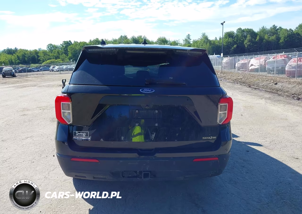 2023 Ford Police Interceptor Utility VIN:1FM5K8AB4PGA17251 - 16