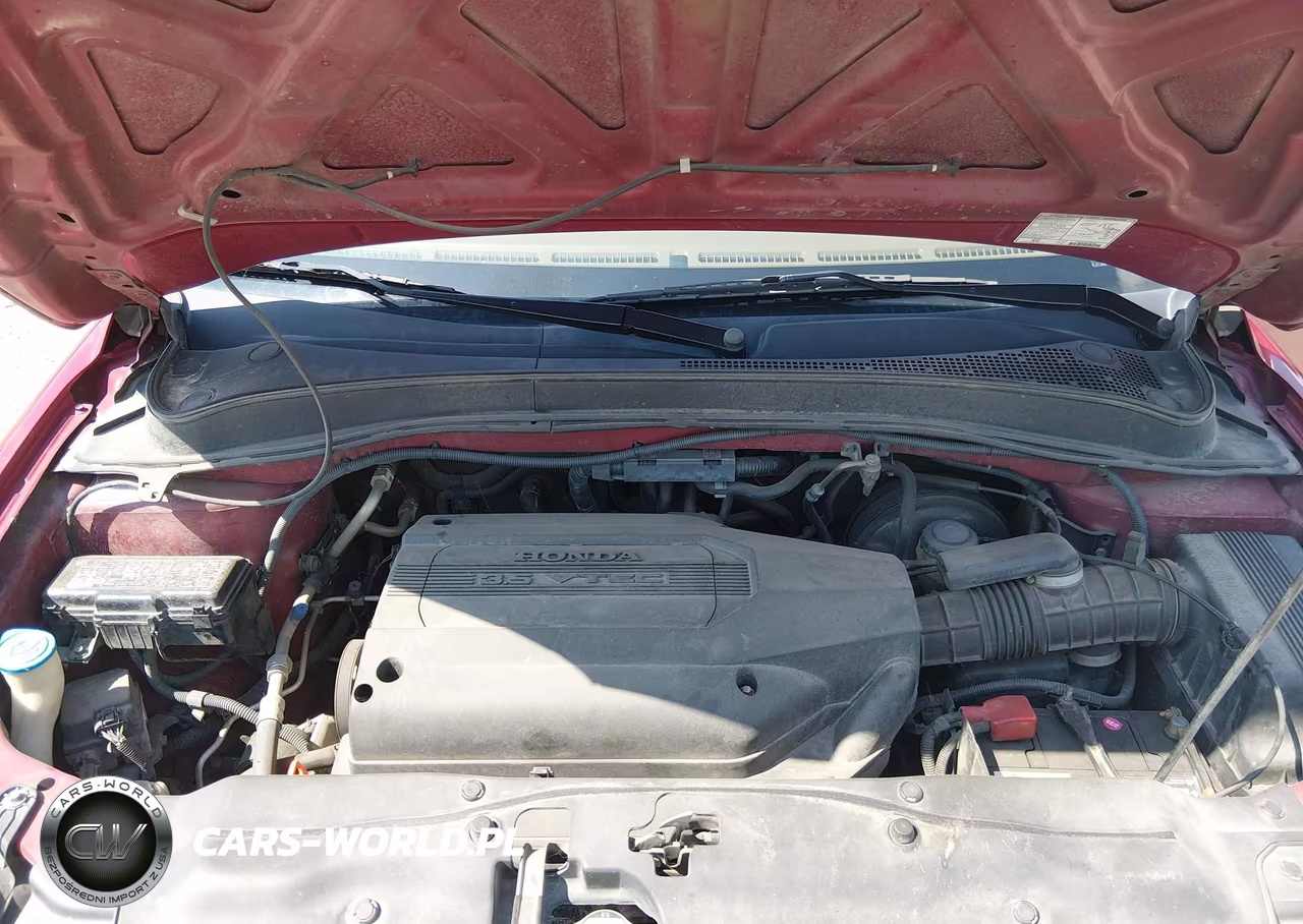 2004 Honda Pilot Ex-L VIN:2HKYF18564H521188 - 10