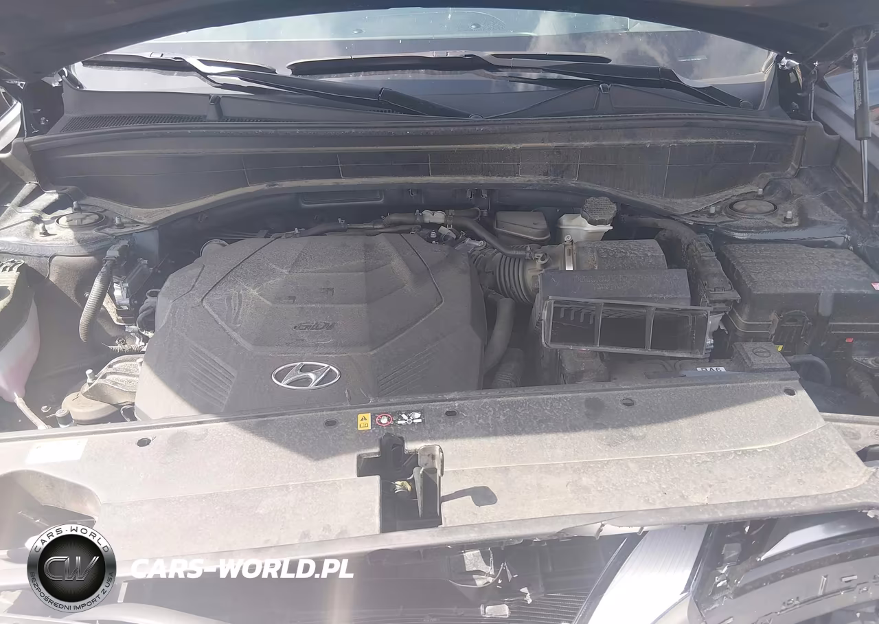 2024 Hyundai Palisade Calligraphy VIN:KM8R7DGE7RU752890 - 10