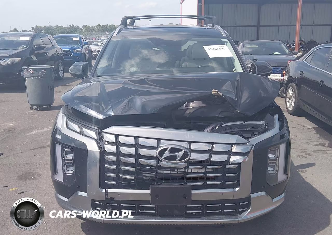 2024 Hyundai Palisade Calligraphy VIN:KM8R7DGE7RU752890 - 12