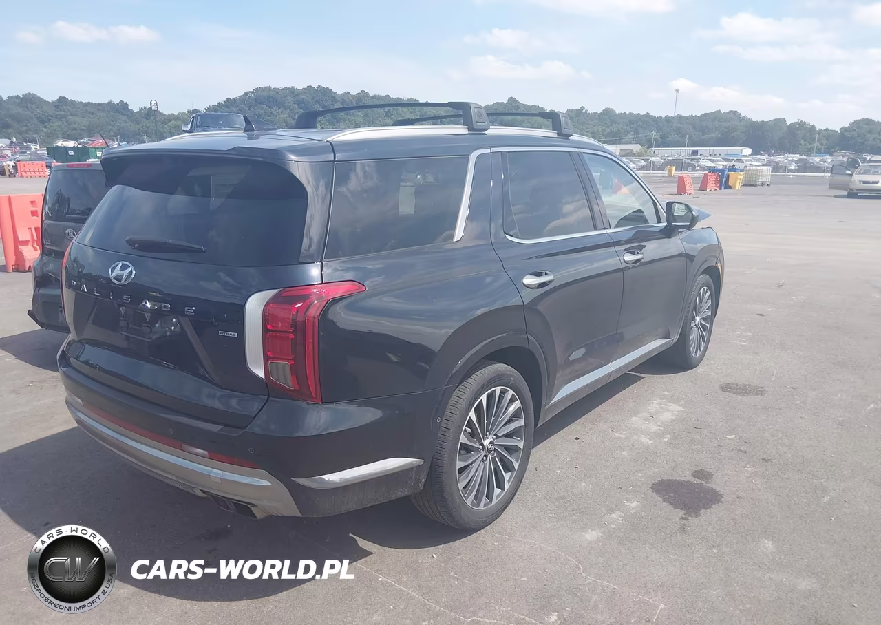 2024 Hyundai Palisade Calligraphy VIN:KM8R7DGE7RU752890 - 4