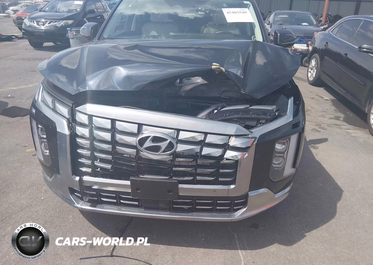 2024 Hyundai Palisade Calligraphy VIN:KM8R7DGE7RU752890 - 6