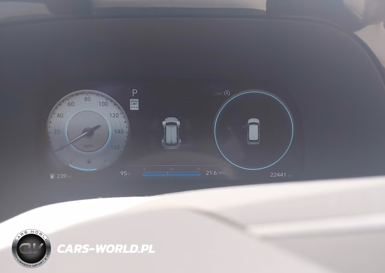 2024 Hyundai Palisade Calligraphy VIN:KM8R7DGE7RU752890 - 7