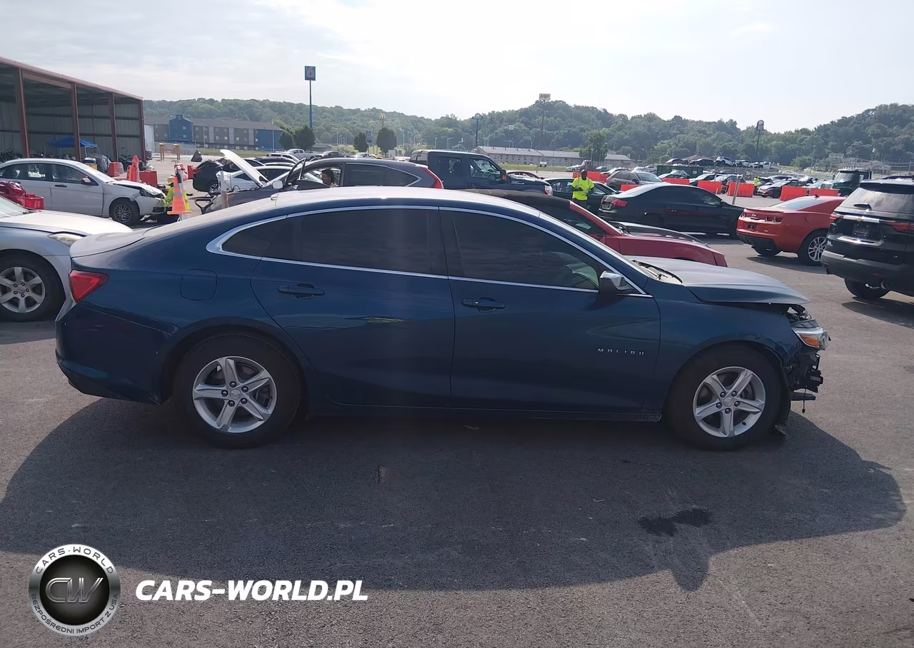 2019 Chevrolet Malibu 1Fl VIN:1G1ZC5ST2KF211440 - 12