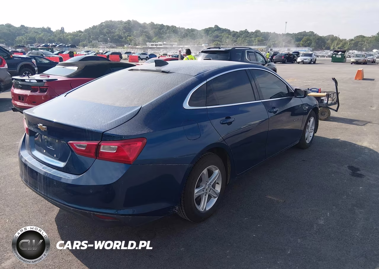 2019 Chevrolet Malibu 1Fl VIN:1G1ZC5ST2KF211440 - 4