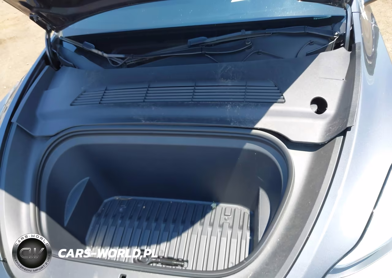 2023 Tesla Model Y Performance Dual Motor All-Wheel Drive VIN:7SAYGDEF4PF859710 - 10