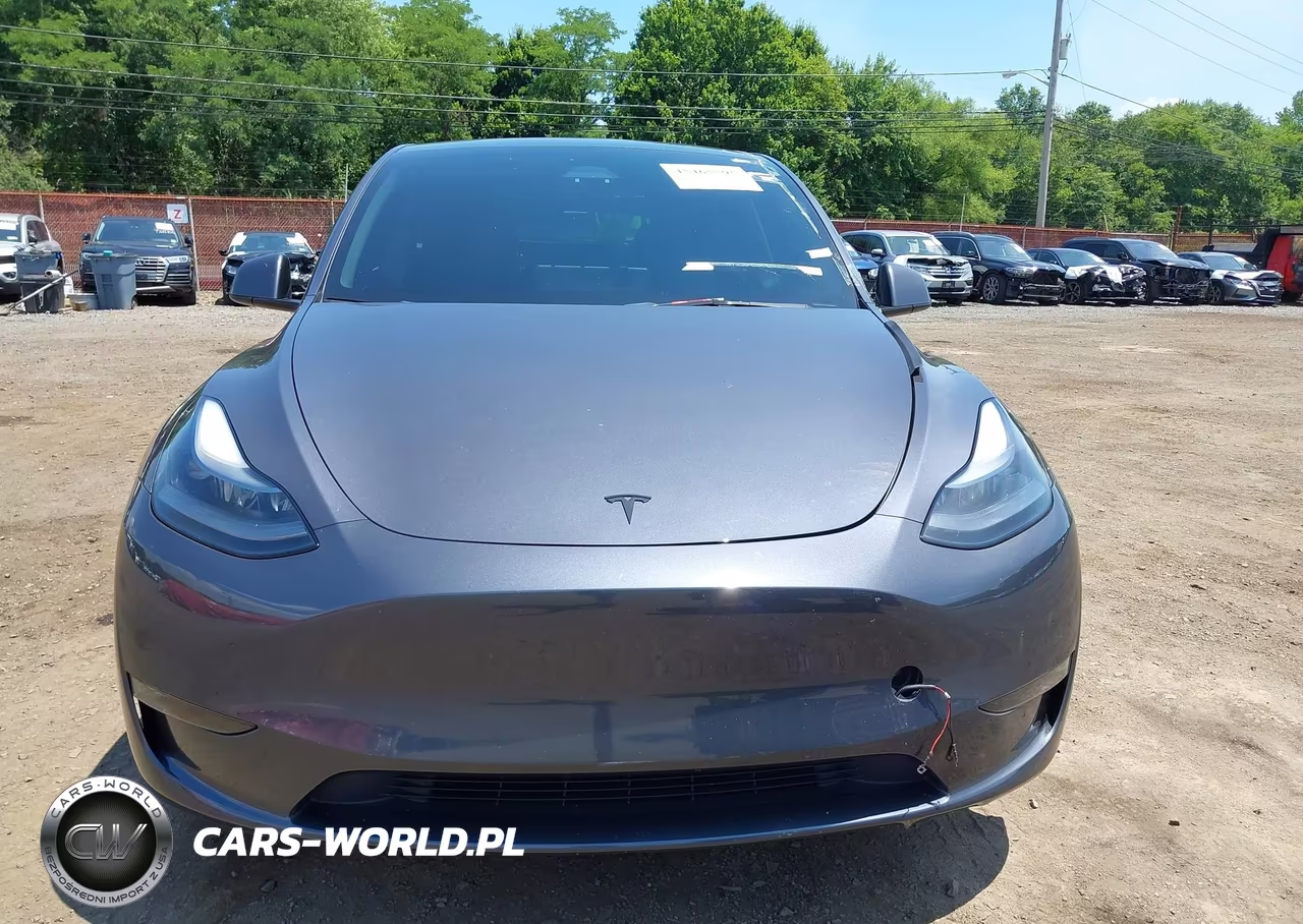 2023 Tesla Model Y Performance Dual Motor All-Wheel Drive VIN:7SAYGDEF4PF859710 - 12