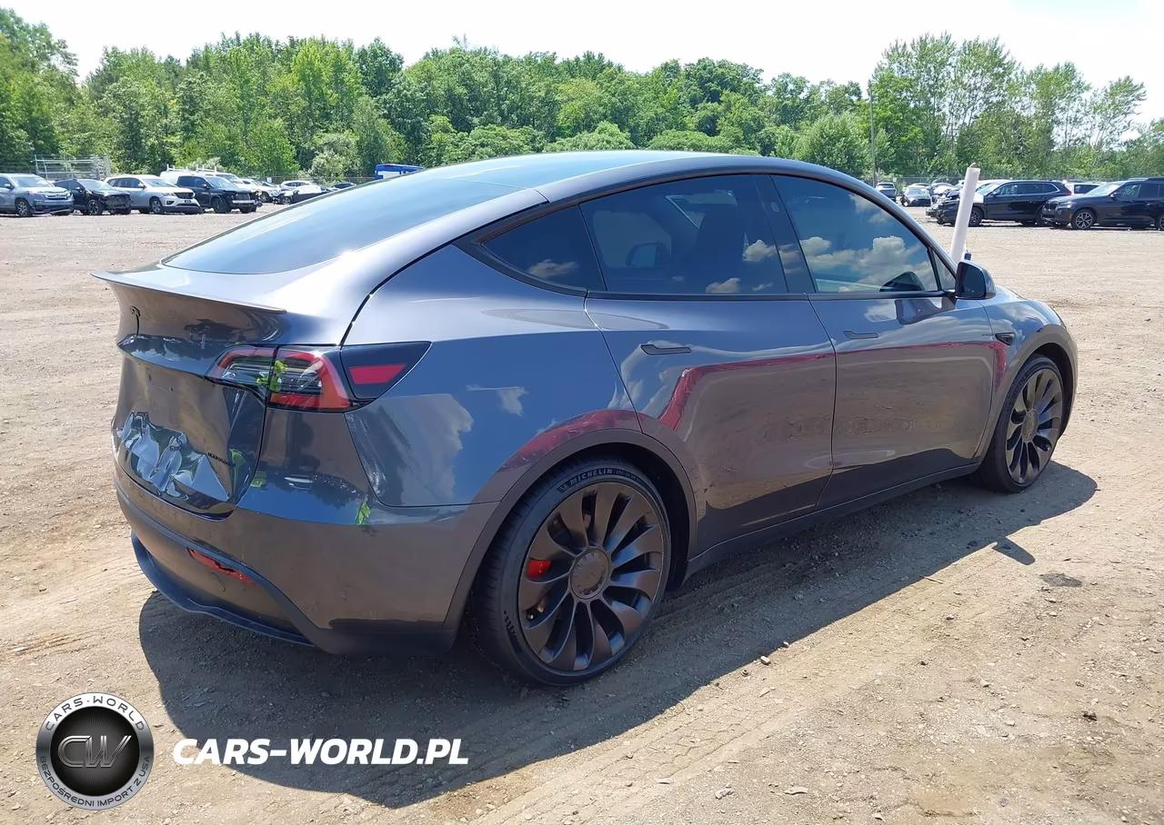 2023 Tesla Model Y Performance Dual Motor All-Wheel Drive VIN:7SAYGDEF4PF859710 - 4