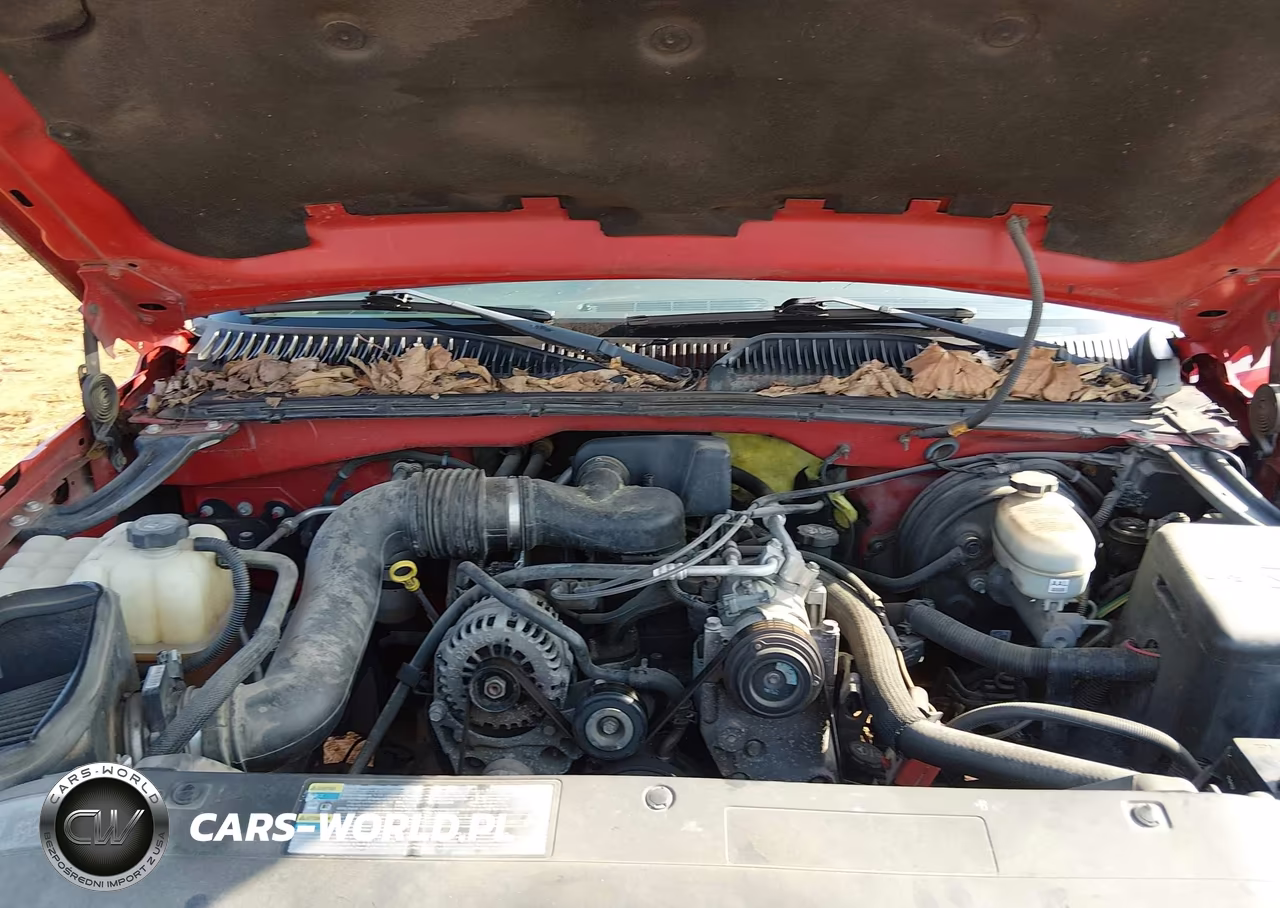 2005 Chevrolet Silverado 1500 Work Truck VIN:1GCEC14X65Z261405 - 10