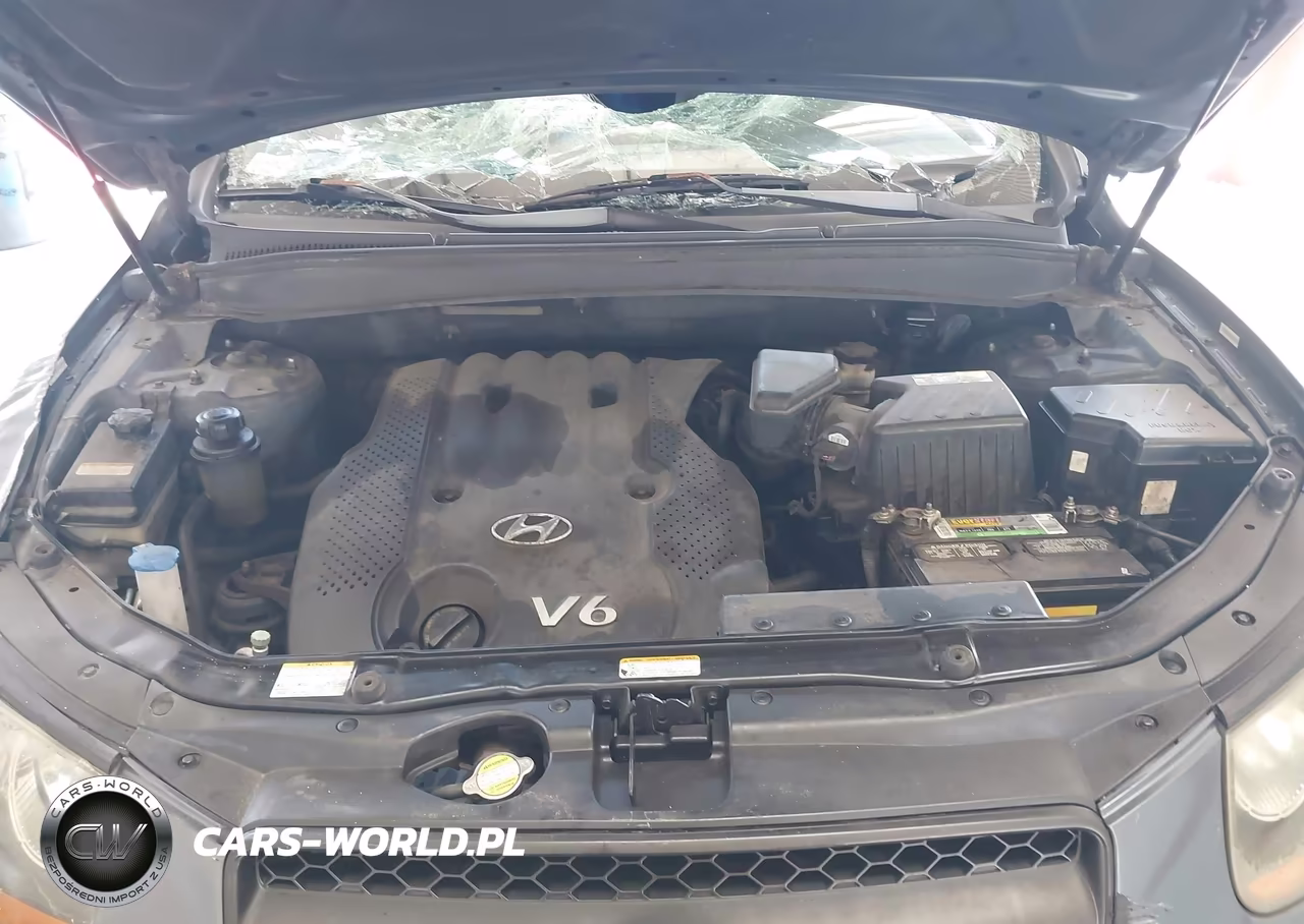 2008 Hyundai Santa Fe Gls VIN:5NMSG13D78H144908 - 10