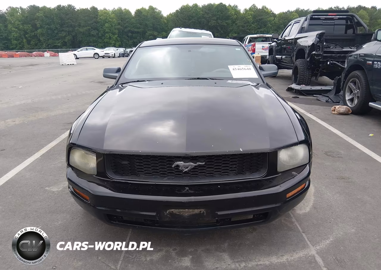 2007 Ford Mustang V6 Deluxe-V6 Premium VIN:1ZVHT80N575356460 - 12