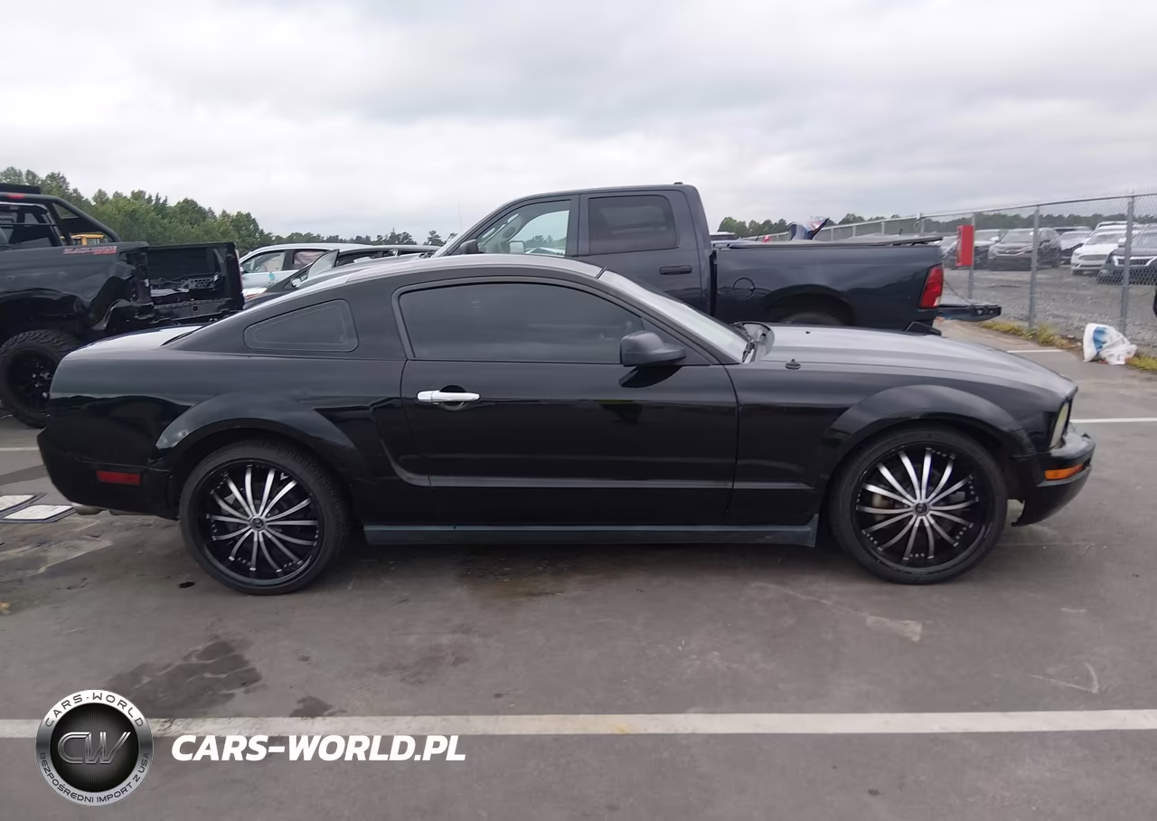 2007 Ford Mustang V6 Deluxe-V6 Premium VIN:1ZVHT80N575356460 - 13