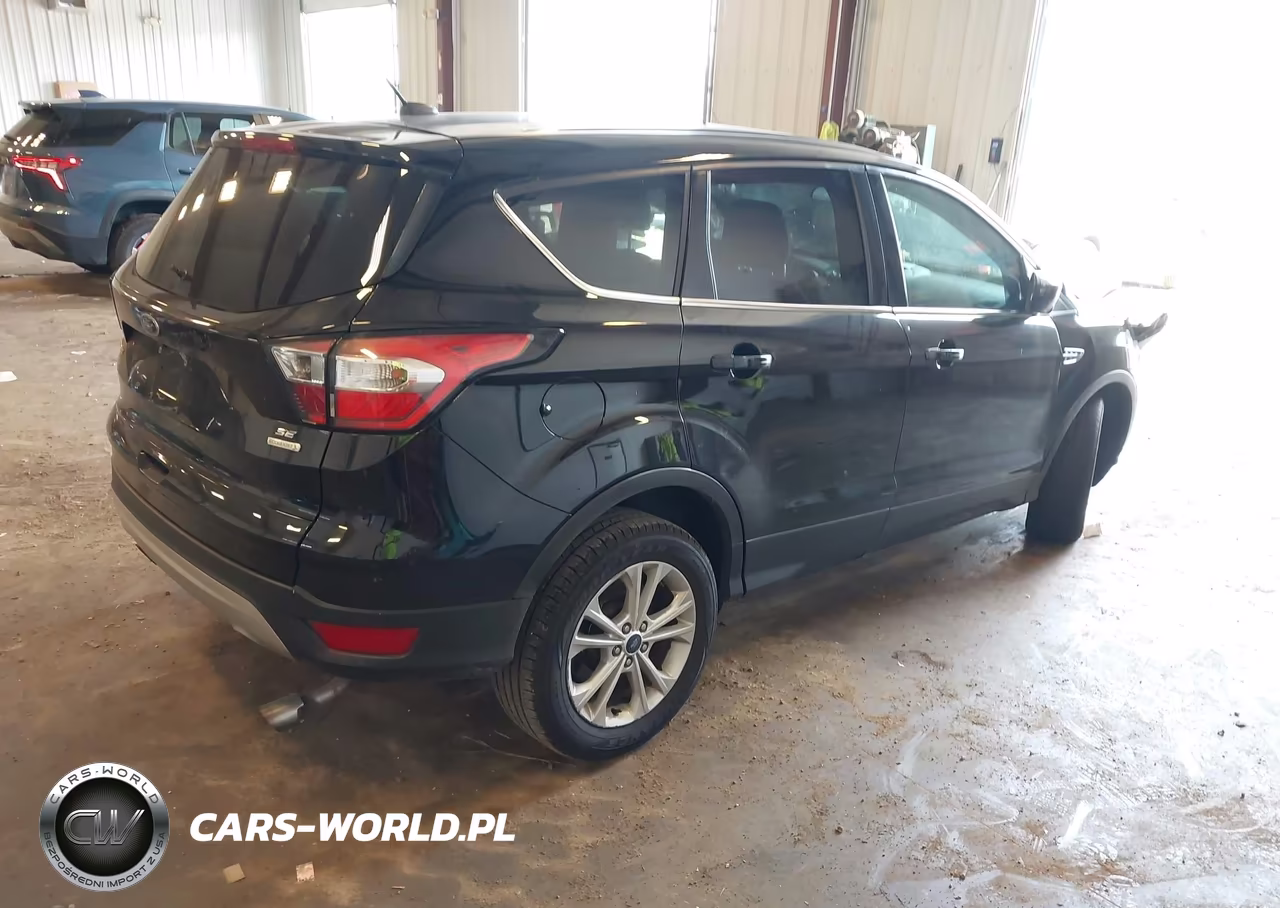 2017 Ford Escape Se VIN:1FMCU0GD6HUE91409 - 4